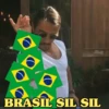memes copa 🇧🇷 5