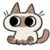 Shiro_Cat_@zigou23 7