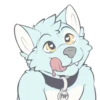 Pup 8