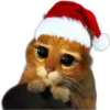 Memes de Natal 5 12