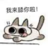 Shiro_Cat_@zigou23 8