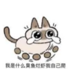 Shiro_Cat_@zigou23 9