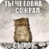 AaYEbbj_by_achestickbot 8