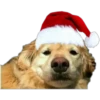 Stickers Navideños 🎄 5 12