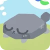 Пеббле!! ( ) 5