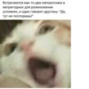 Hehe 11