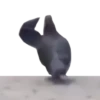 Press F 12