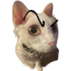 Jean Battista 6