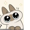 Shiro_Cat_@zigou23 10