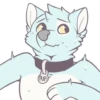 Pup 11