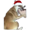 Stickers Navideños 🎄 5 13