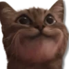 Moods Gatitos 🐱 5