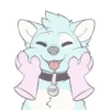 Pup 12