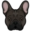 Lilo 5