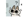 Shiro_Cat_@zigou23 12