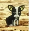 Jojo ➡️ 18