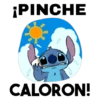 *PINCHE CALORON!