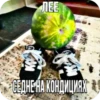AaYEbbj_by_achestickbot 11