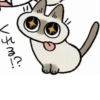 Shiro_Cat_@zigou23 15