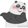 Panda 🐼 13