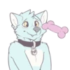 Pup 14