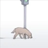the woman yellin at the cat 21