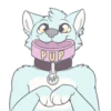 Pup 15