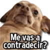 Me vas a contradecir?