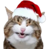 Memes de Natal 5 14