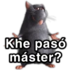 Khe pasó máster?