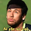 memes copa 🇧🇷 16