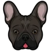 Lilo 7