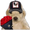Ramo Buchón 🌹💐 7