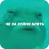 Memes tg 19