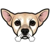 Taco 9