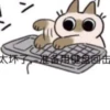 Shiro_Cat_@zigou23 18