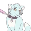 Pup 17