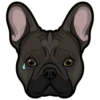 Lilo 8
