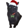 Stickers Navideños 🎄 5 22