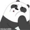 Panda 🐼 14
