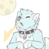 Pup 18