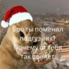 Trollge Multiverse от баобаб 18