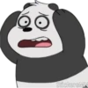 Panda 🐼 16
