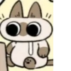Shiro_Cat_@zigou23 19