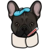 Lilo 9