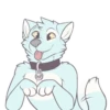 Pup 22