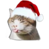 Memes de Natal 5 19