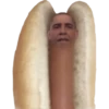 hot dog and bread 11