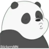 Panda 🐼 18