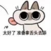 Shiro_Cat_@zigou23 21